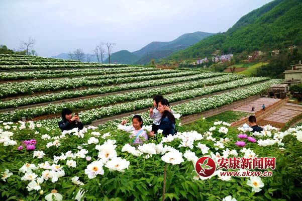 ꐘs�� �z4.1.jpg