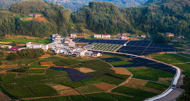 �h�I�^�̉�������^ꃲ�һ̖��������