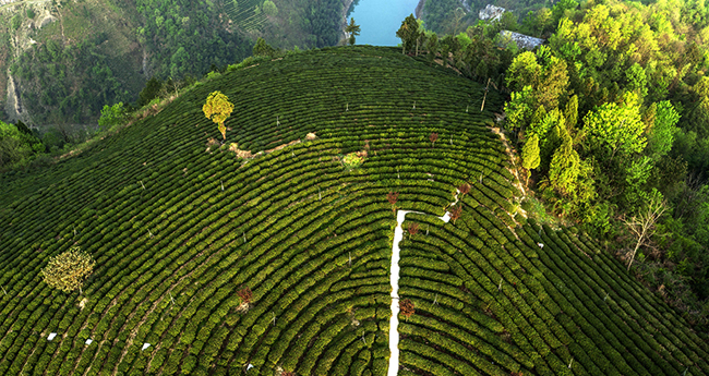 ��ꖿh�����lչ���~�a�I