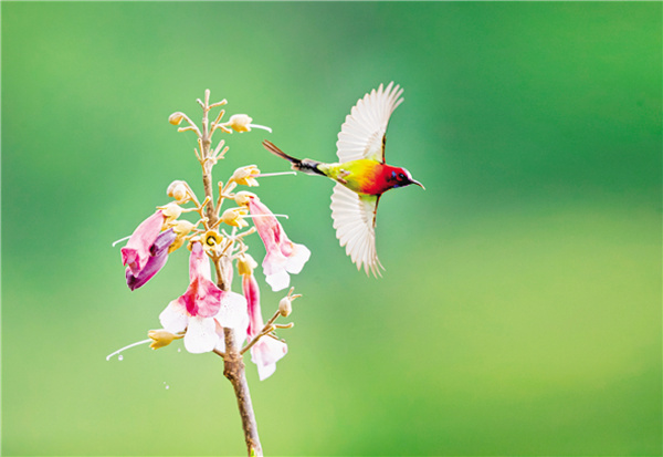 �c�B���� ���B����