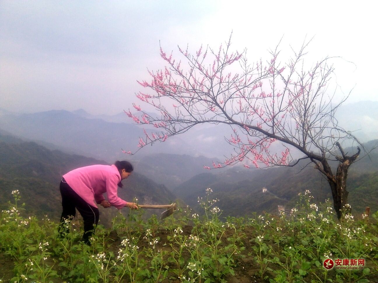 ���ڴ���