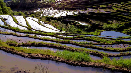 ���������r