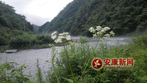 �l���L��