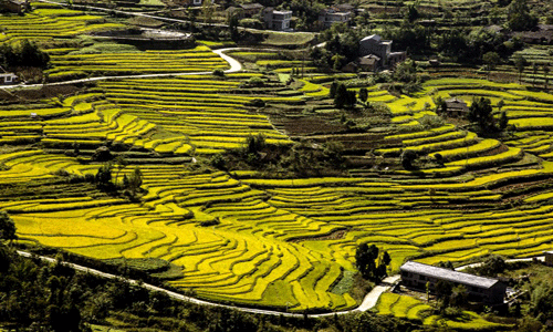 ���߽���