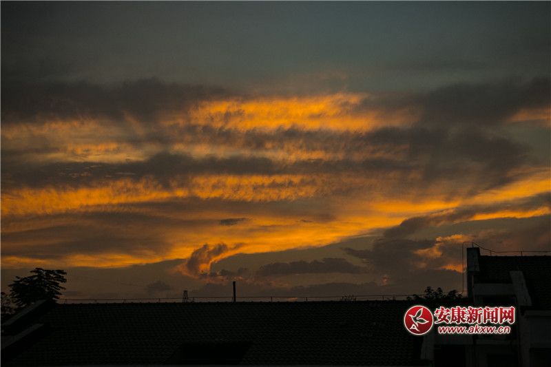 ����Ȼ�Į��P3 �̿���.jpg